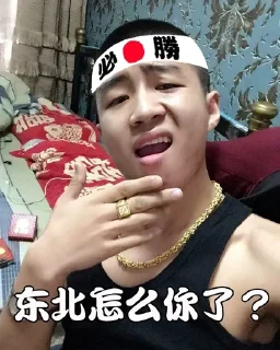 Sticker from 🗺️怎么你了