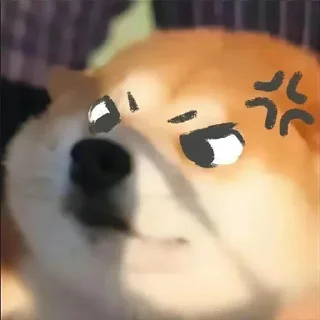 🐶 emoji 征途不给你画面你又能怎么样 — @stckrRobot Telegram sticker 12 of 29