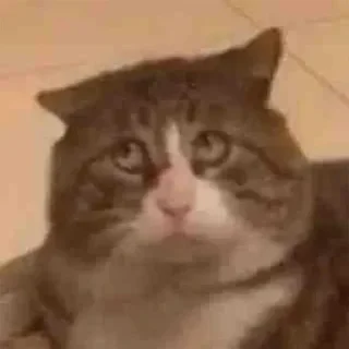 🙁 emoji 征途不给你画面你又能怎么样 — @stckrRobot Telegram sticker 21 of 29
