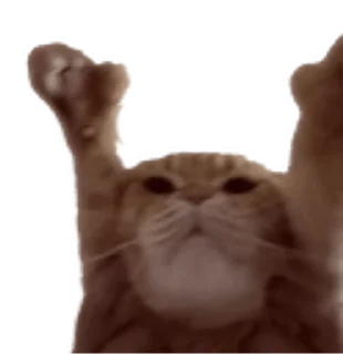 😊 emoji twitch7tvAnimal1 Telegram sticker 4 of 20