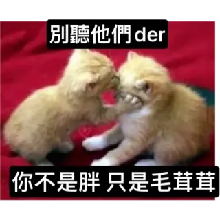 🐱 emoji Catiepie by blablabla Telegram sticker 19 of 108