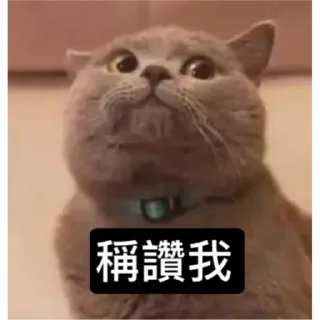 🐱 emoji Catiepie by blablabla Telegram sticker 6 of 108