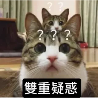 🐱 emoji Catiepie by blablabla Telegram sticker 11 of 108