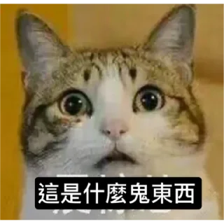 🐱 emoji Catiepie by blablabla Telegram sticker 3 of 108
