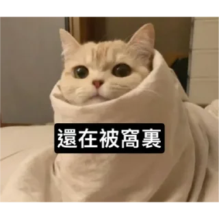 🐱 emoji Catiepie by blablabla Telegram sticker 17 of 108