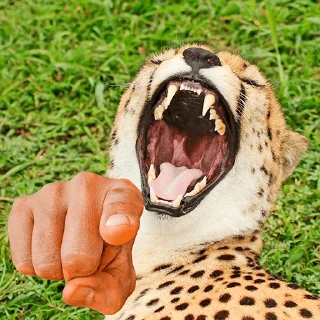 😂 emoji Shitpost Sticker Pack Gold Edition 3.0 Telegram sticker 16 of 39