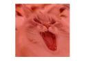😡 emoji mem Telegram sticker 8 of 34