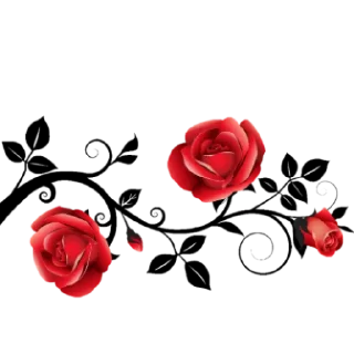 🌹 emoji m≋a≋r≋c≋a≋d≋o≋r≋e≋s≋5 @HeraOfc Telegram sticker 22 of 118