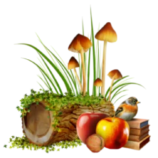 🍎 emoji m≋a≋r≋c≋a≋d≋o≋r≋e≋s≋5 @HeraOfc Telegram sticker 12 of 118