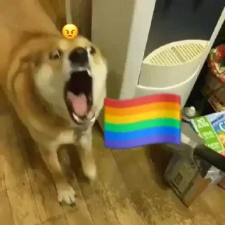❌ emoji Doge Telegram sticker 13 of 101