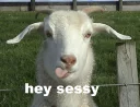 😏 emoji goat Telegram sticker 14 of 19