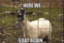 😒 emoji goat Telegram sticker 7 of 19