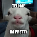 😍 emoji goat Telegram sticker 18 of 19