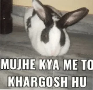😁 emoji Tere bhai ka maal Telegram sticker 9 of 120