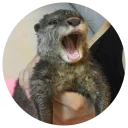 Sticker from Cartel the Otter