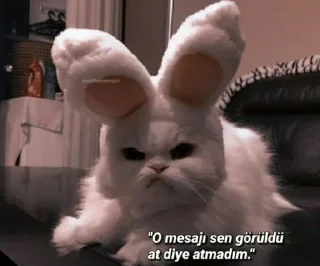 🤔 emoji @Dengesizlersahibe @SiriUserBot Paketi 1 Telegram sticker 15 of 27