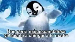 Sticker from 🗣️🗣️