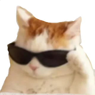 😎 emoji Shitpost Sticker Pack Gold Edition 3.0 Telegram sticker 2 of 39