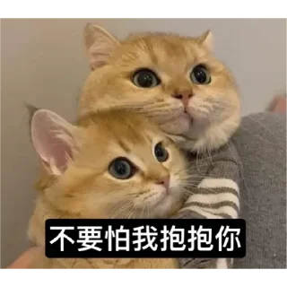 🐱 emoji Catiepie by blablabla Telegram sticker 23 of 108