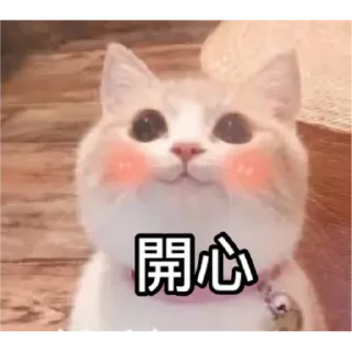 🐱 emoji Catiepie by blablabla Telegram sticker 9 of 108