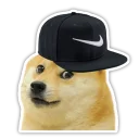 🎩 emoji Doge Telegram sticker 13 of 16
