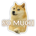 😶 emoji Doge Telegram sticker 6 of 16