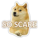 😖 emoji Doge Telegram sticker 10 of 16