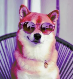 😎 emoji Doge Telegram sticker 9 of 101
