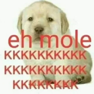 😂 emoji stickers roubados do jp Telegram sticker 19 of 120