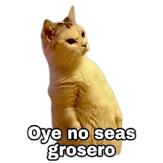 🤔 emoji Pack de stickers de @NUEVAMUERTE Telegram sticker 16 of 23