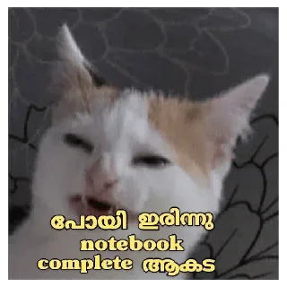 Sticker from Cat Malayalam @sticker_pack_channel — @stckrRobot