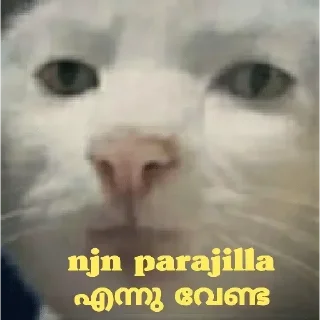 Sticker from Cat Malayalam @sticker_pack_channel — @stckrRobot