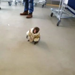 😐 emoji Monkey🐒 @yourstickerschnl Telegram sticker 14 of 68