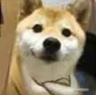 🧐 emoji @Gabriel260BR's kang pack Vol.1 Telegram sticker 15 of 64