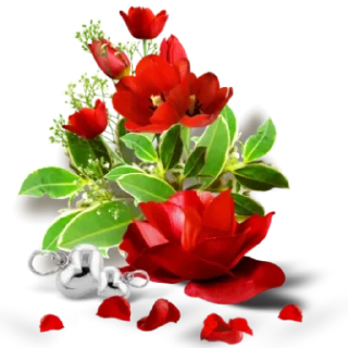 🌺 emoji m≋a≋r≋c≋a≋d≋o≋r≋e≋s≋5 @HeraOfc Telegram sticker 11 of 118