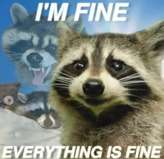🦝 emoji Racoon 🦝 Telegram sticker 7 of 50