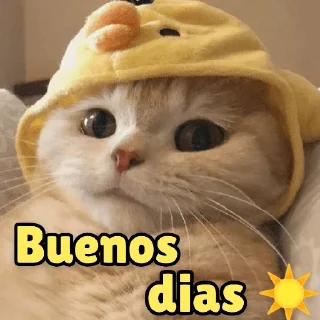 Sticker from Wenos dias