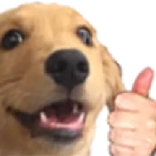 👍 emoji Favoritos Telegram sticker 10 of 119