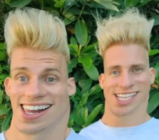 Sticker from sus twins