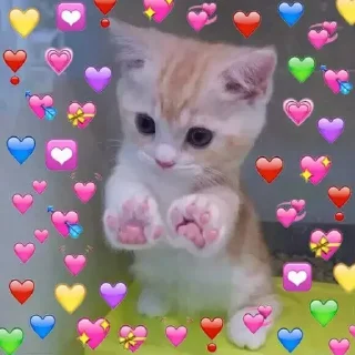 😍 emoji Do Whats Telegram sticker 11 of 59