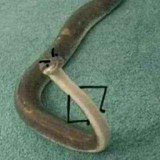 Sticker from Manu