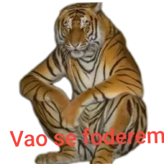 😡 emoji Puyo Puyo 🏳️‍🌈 Organização GAY Telegram sticker 1 of 51
