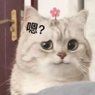 🥵 emoji 猫猫表情包 👉 @biaoqing8 Telegram sticker 13 of 28