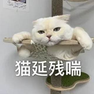 😟 emoji 猫猫表情包 👉 @biaoqing8 Telegram sticker 24 of 28