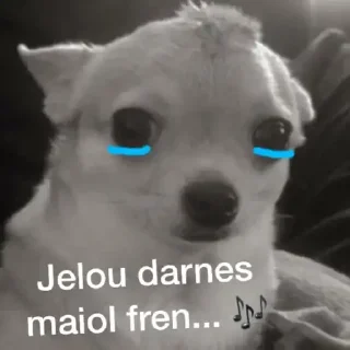 🐶 emoji Perritos Telegram sticker 19 of 50