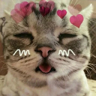 🔥 emoji horny Telegram sticker 10 of 52