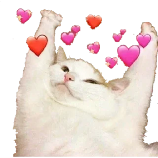 Sticker from animals