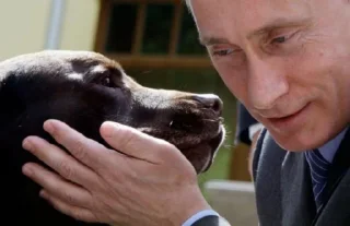 🐶 emoji Putin Reacts Telegram sticker 6 of 82