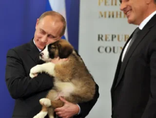 Sticker from Putin Reacts