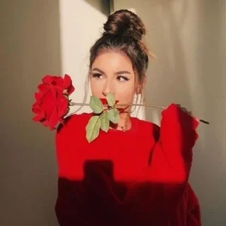 🌹 emoji ➣⃟꯭͟‌❦ᵖʳᶤᶰᶜᵉˢᶤᶰʰᵃ ᵐᵃˡᵃᶰᵈʳᵃ❀֟፝֟፝͜͜͡͡͡❦𖣔͈͈͈͈͈̪̎̎̎̎̎̎̎̎̎̆̑ Telegram sticker 2 of 120